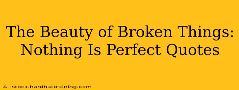 The Beauty of Broken Things: Nothing Is Perfect Quotes