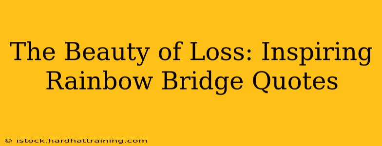 The Beauty of Loss: Inspiring Rainbow Bridge Quotes
