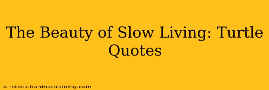 The Beauty of Slow Living: Turtle Quotes