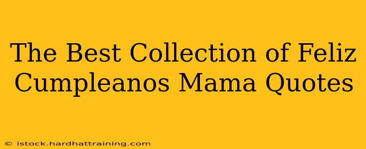 The Best Collection of Feliz Cumpleanos Mama Quotes