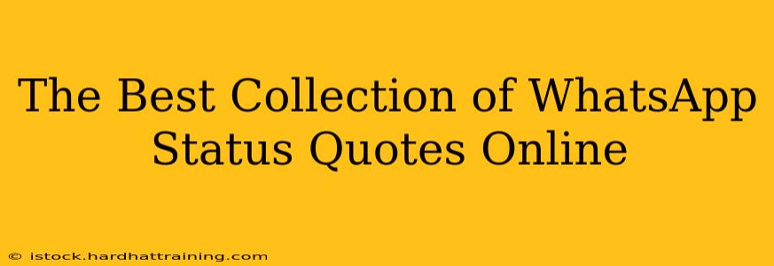 The Best Collection of WhatsApp Status Quotes Online