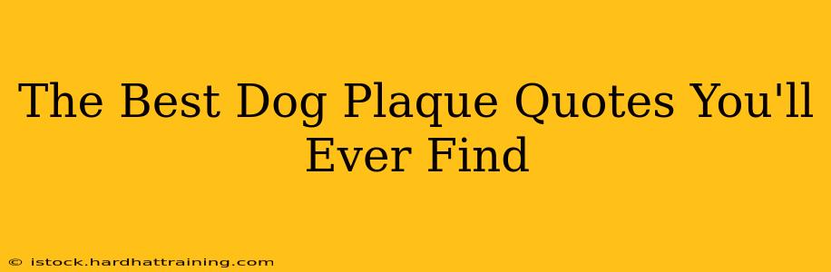 The Best Dog Plaque Quotes You'll Ever Find