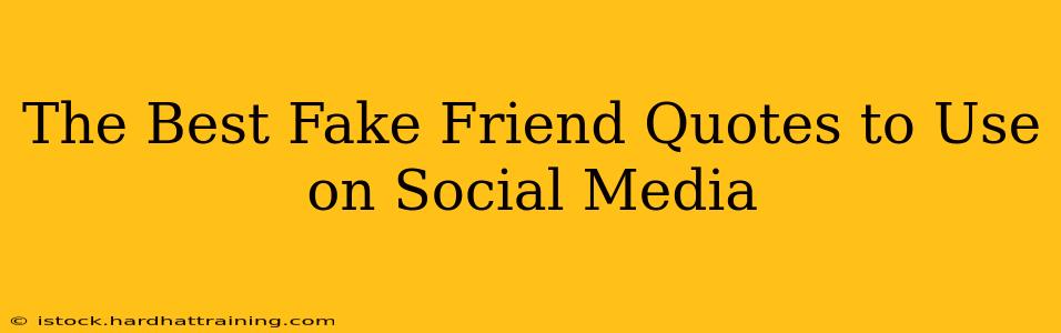 The Best Fake Friend Quotes to Use on Social Media
