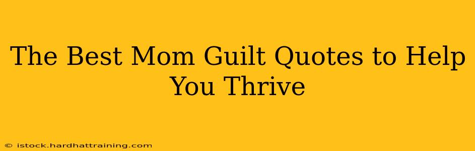 The Best Mom Guilt Quotes to Help You Thrive