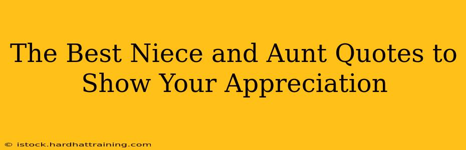 The Best Niece and Aunt Quotes to Show Your Appreciation