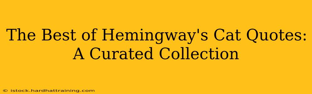 The Best of Hemingway's Cat Quotes: A Curated Collection