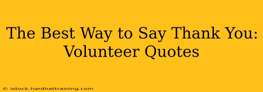 The Best Way to Say Thank You: Volunteer Quotes