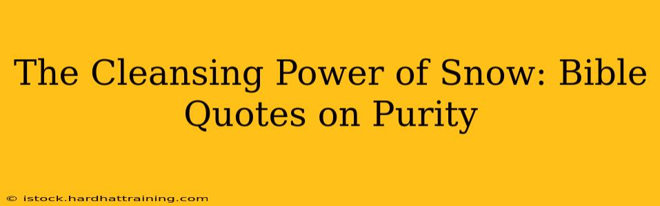 The Cleansing Power of Snow: Bible Quotes on Purity