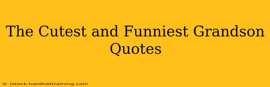 The Cutest and Funniest Grandson Quotes