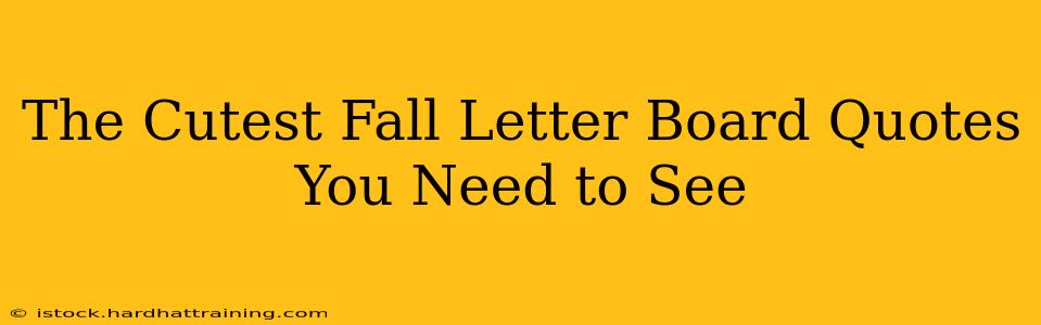 The Cutest Fall Letter Board Quotes You Need to See