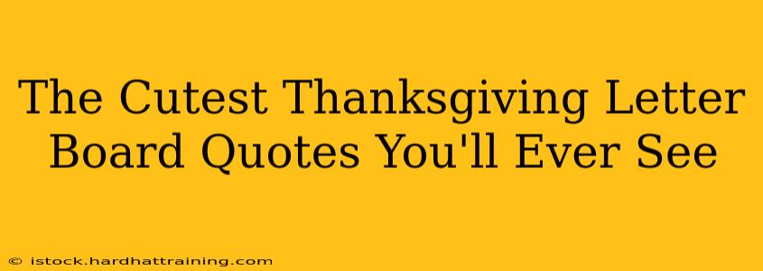 The Cutest Thanksgiving Letter Board Quotes You'll Ever See