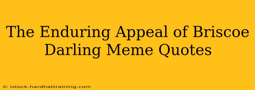 The Enduring Appeal of Briscoe Darling Meme Quotes