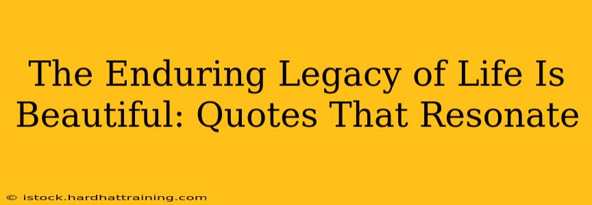 The Enduring Legacy of Life Is Beautiful: Quotes That Resonate