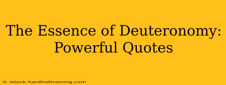 The Essence of Deuteronomy: Powerful Quotes