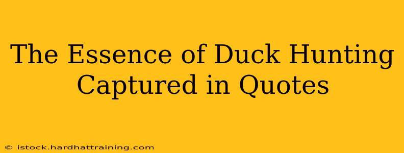 The Essence of Duck Hunting Captured in Quotes