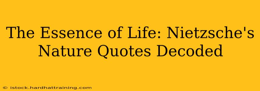 The Essence of Life: Nietzsche's Nature Quotes Decoded