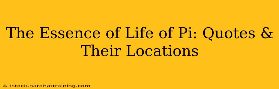 The Essence of Life of Pi: Quotes & Their Locations