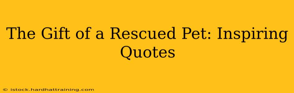 The Gift of a Rescued Pet: Inspiring Quotes