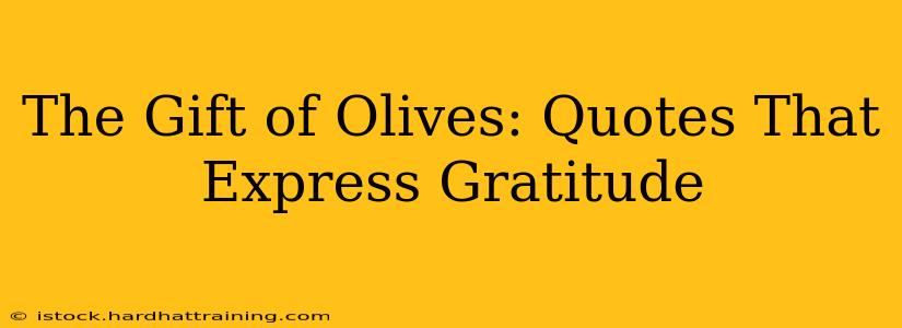 The Gift of Olives: Quotes That Express Gratitude