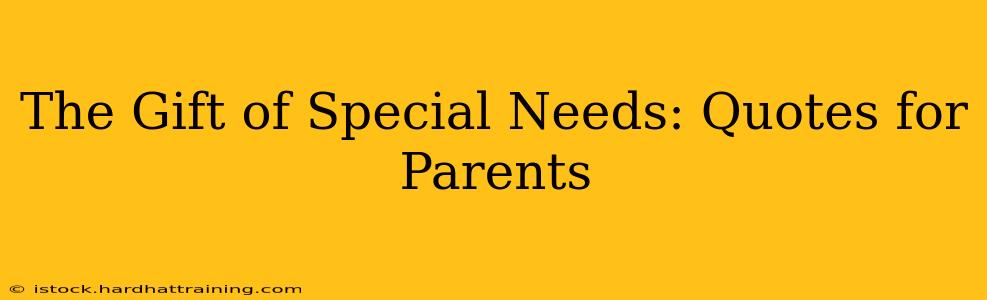 The Gift of Special Needs: Quotes for Parents