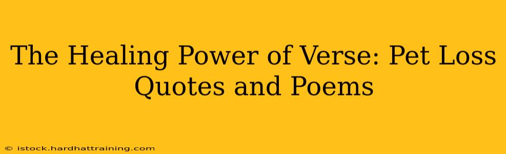 The Healing Power of Verse: Pet Loss Quotes and Poems
