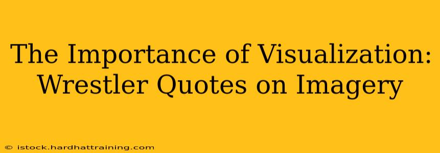 The Importance of Visualization: Wrestler Quotes on Imagery