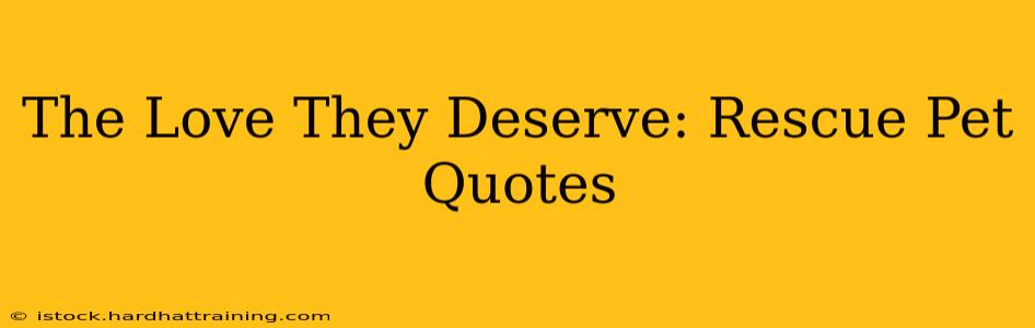 The Love They Deserve: Rescue Pet Quotes