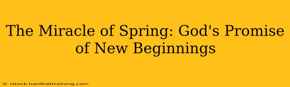 The Miracle of Spring: God's Promise of New Beginnings