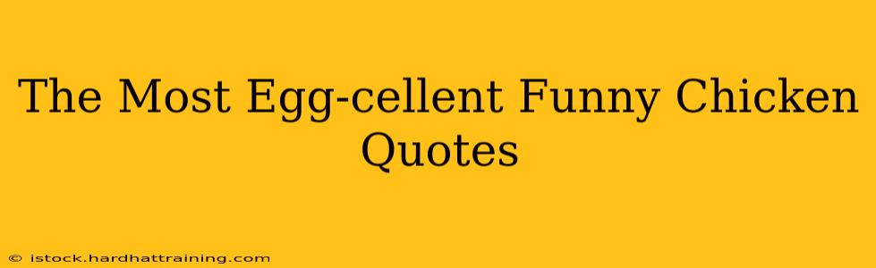 The Most Egg-cellent Funny Chicken Quotes