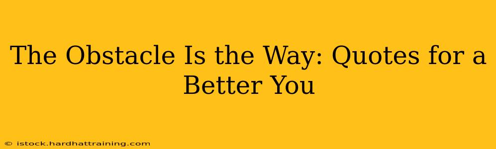 The Obstacle Is the Way: Quotes for a Better You