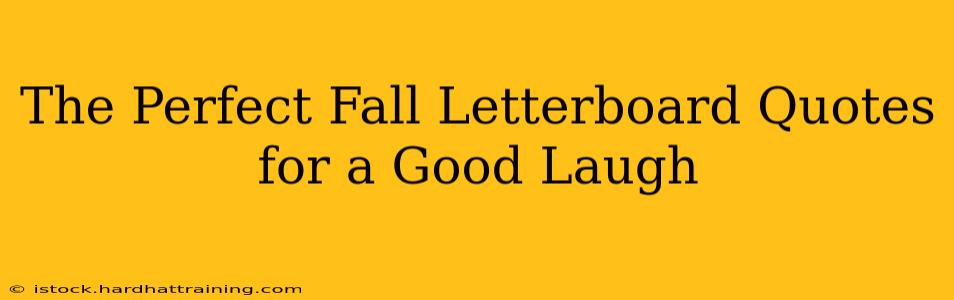 The Perfect Fall Letterboard Quotes for a Good Laugh