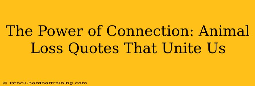 The Power of Connection: Animal Loss Quotes That Unite Us