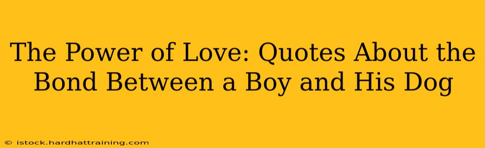 The Power of Love: Quotes About the Bond Between a Boy and His Dog