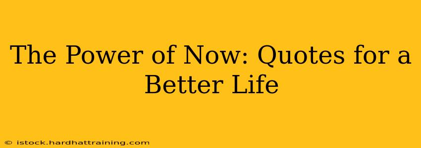 The Power of Now: Quotes for a Better Life