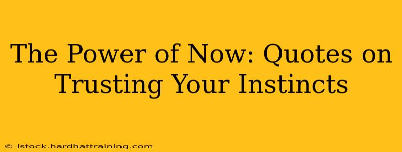 The Power of Now: Quotes on Trusting Your Instincts