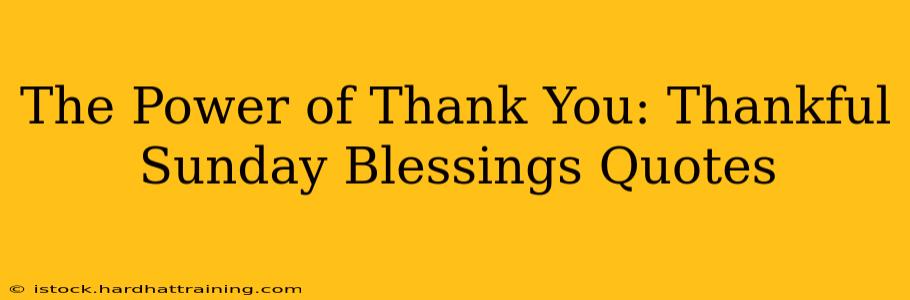 The Power of Thank You: Thankful Sunday Blessings Quotes
