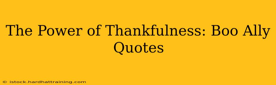 The Power of Thankfulness: Boo Ally Quotes