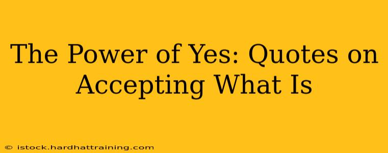 The Power of Yes: Quotes on Accepting What Is