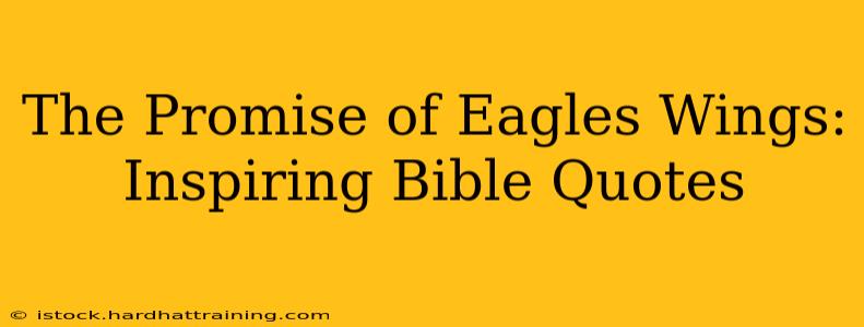The Promise of Eagles Wings: Inspiring Bible Quotes
