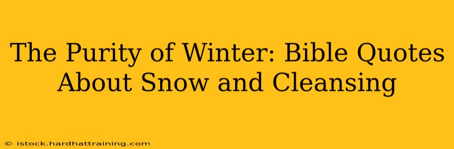 The Purity of Winter: Bible Quotes About Snow and Cleansing