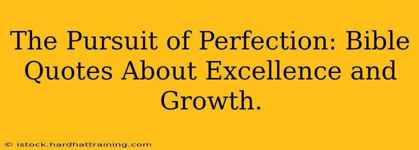 The Pursuit of Perfection: Bible Quotes About Excellence and Growth.
