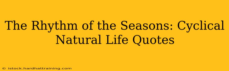 The Rhythm of the Seasons: Cyclical Natural Life Quotes