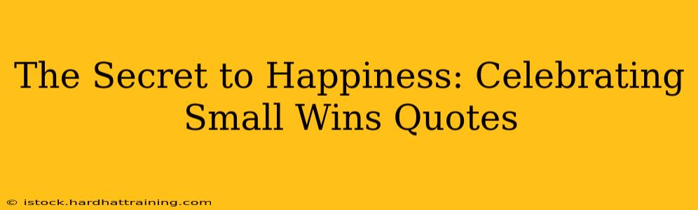 The Secret to Happiness: Celebrating Small Wins Quotes