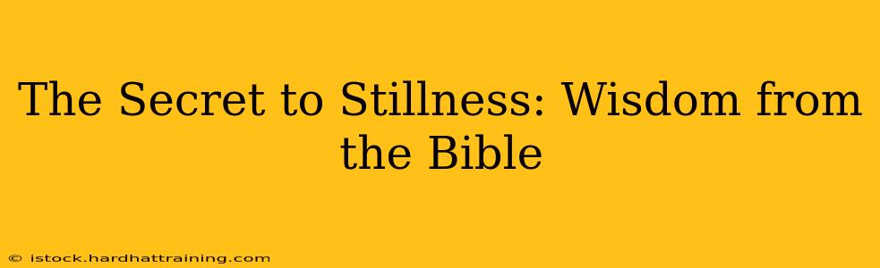 The Secret to Stillness: Wisdom from the Bible