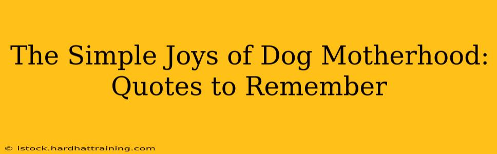 The Simple Joys of Dog Motherhood: Quotes to Remember