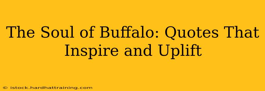 The Soul of Buffalo: Quotes That Inspire and Uplift