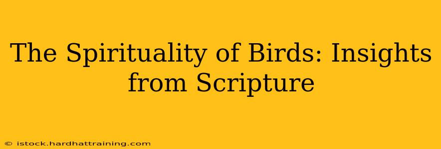 The Spirituality of Birds: Insights from Scripture