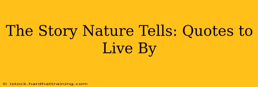 The Story Nature Tells: Quotes to Live By