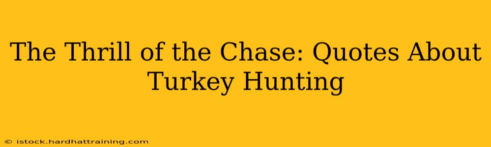 The Thrill of the Chase: Quotes About Turkey Hunting
