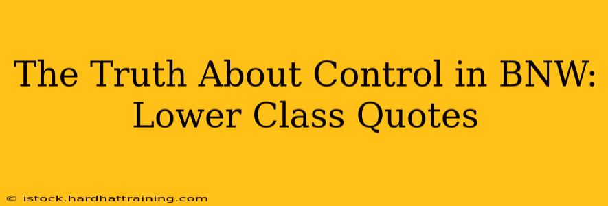 The Truth About Control in BNW: Lower Class Quotes